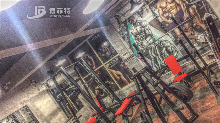 伊拉克客户的健身房图片 蜜桃精品无码健身器材案例