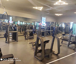 蜜桃精品无码健身器材东莞客户健身房案例