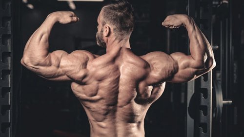 有哪些健身器材是能练到肩部肌肉的？