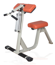 BFT6003 女生二头肌/三头肌训练器 广州健身器材水蜜桃网站在线观看